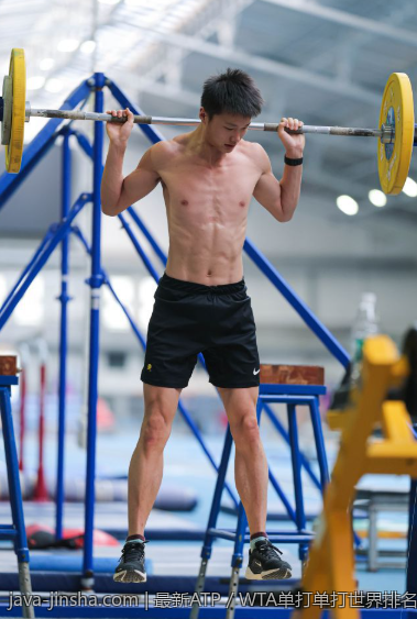 最新ATP／WTA单打单打世界排名榜单趋势与分析