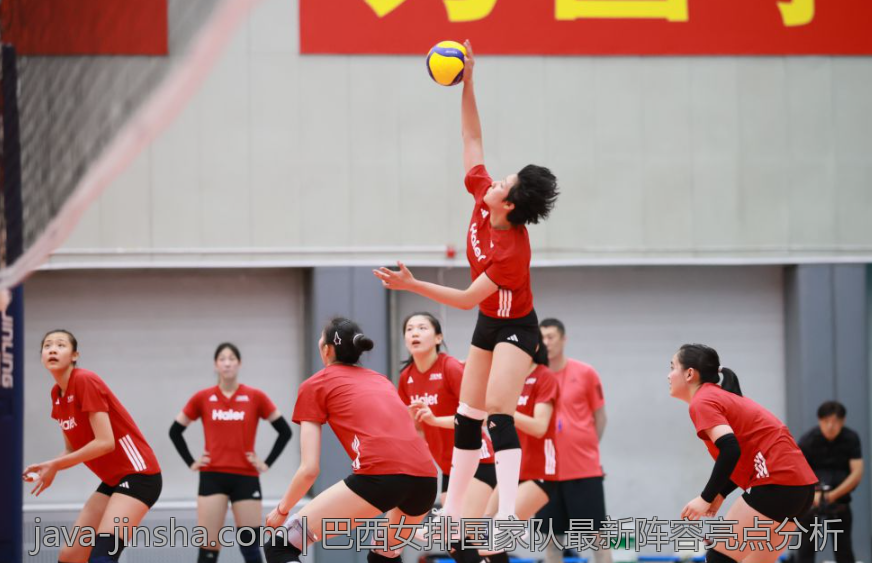 巴西女排国家队最新阵容亮点分析